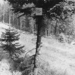 Ehemalige Grenze zur DDR (schwarz/weiß)