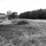 Die Schilder sind gut sichtbar aufgestellt.