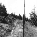 Ski- und Wanderweg im Oberharz: Kleine Zwischenräume bei der Beschilderung (Nebel) und aufgesetzte Schneebaken.